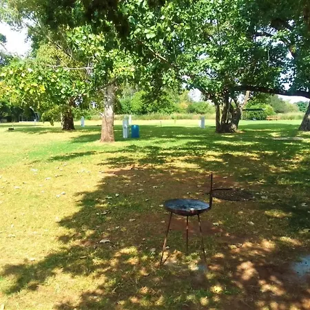 Tanglewood Nature Estate Potchefstroom Room photo