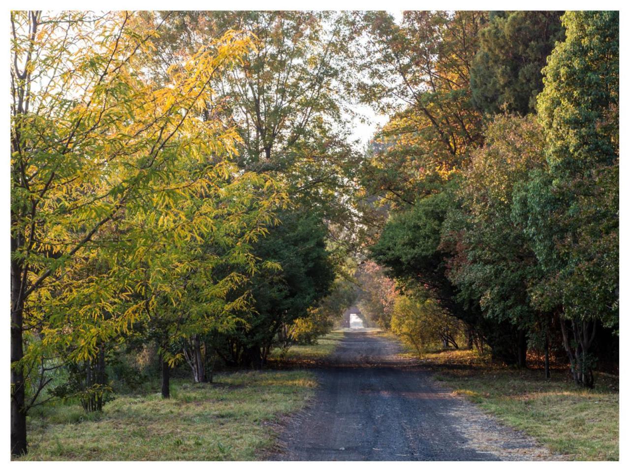 Tanglewood Nature Estate Campsite