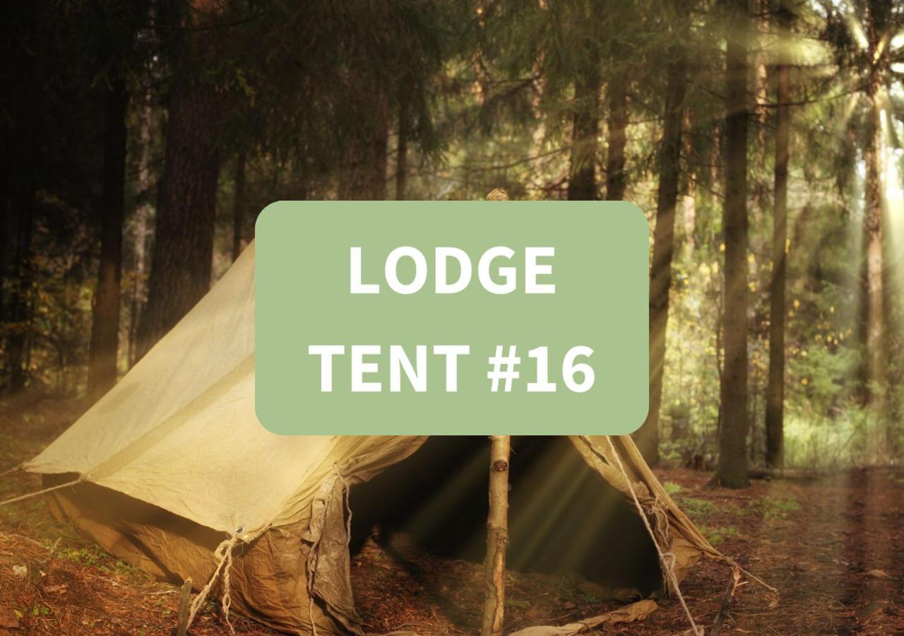 Tanglewood Nature Estate Campsite *