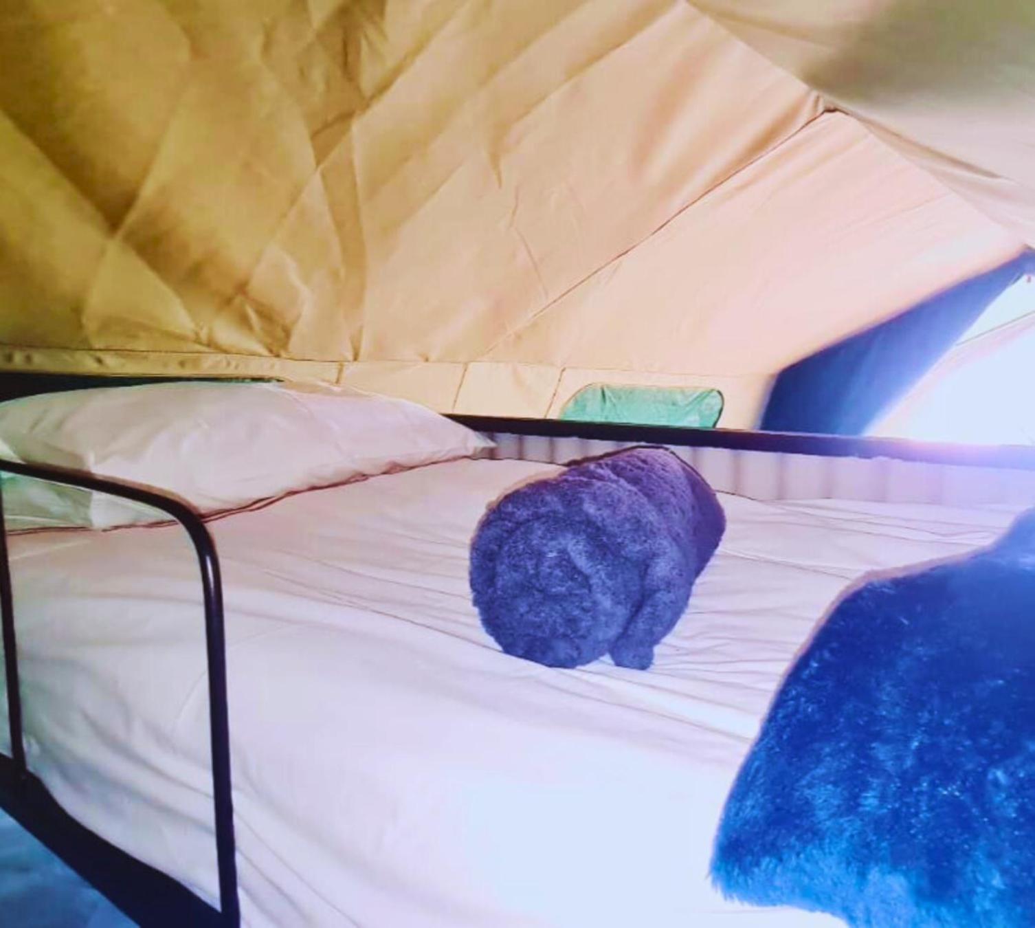 Campsite Tanglewood Nature Estate