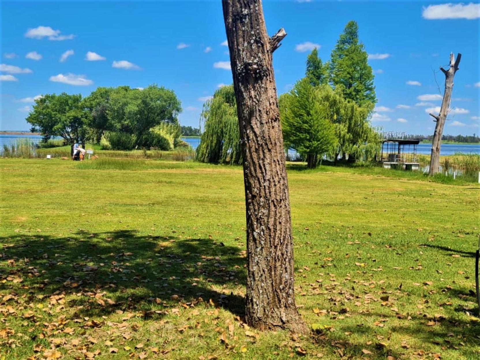 Tanglewood Nature Estate Campsite